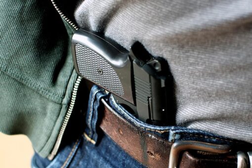 Michigan county’s backlog on concealed-pistol licenses prompts lawsuit: report