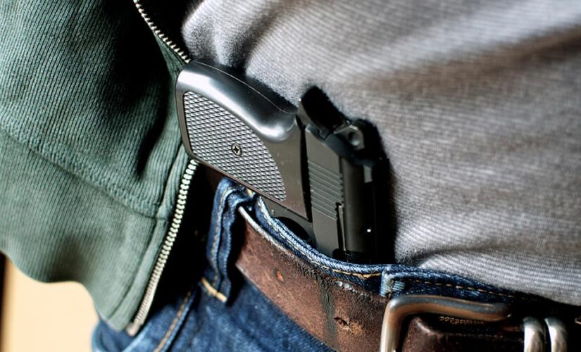 Michigan county’s backlog on concealed-pistol licenses prompts lawsuit: report