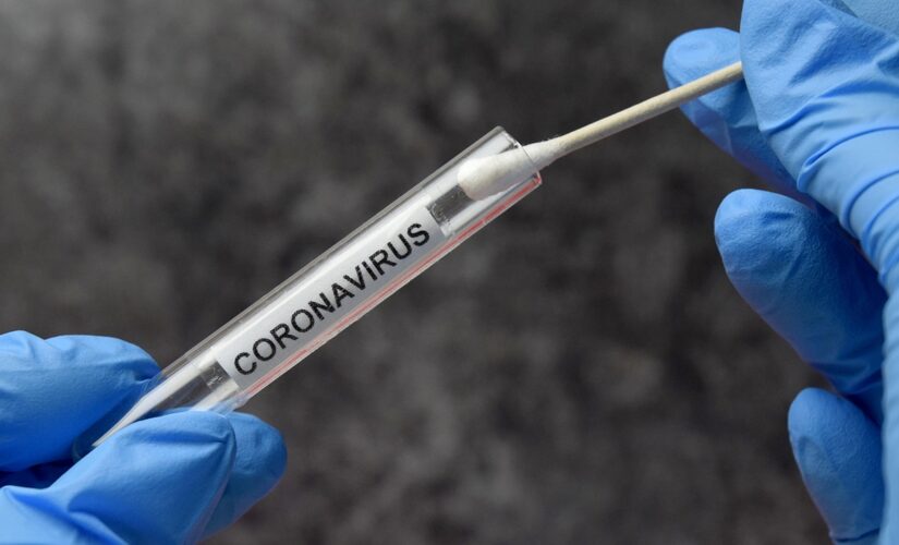New York detects Brazilian coronavirus variant in Brooklyn resident