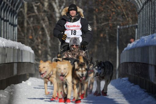 Alaska’s Iditarod will begin Saturday with no spectators, coronavirus precautions