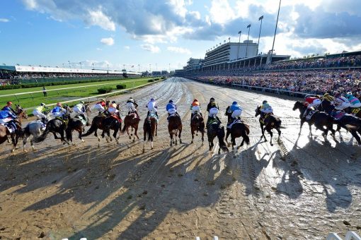 Trainer banned from British races over photo on dead horse