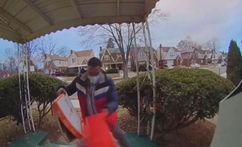 Michigan DoorDash driver drops pizza on ground, stuffs it back in box