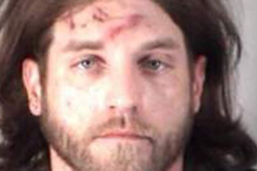 Florida man allegedly pulled out human ears while being questioned for grandpa slay