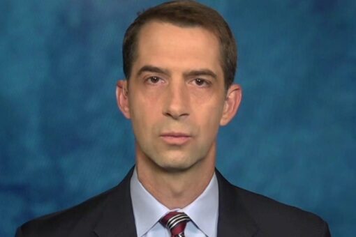 Sen. Cotton suggests 3 measures Biden can take to fix border crisis