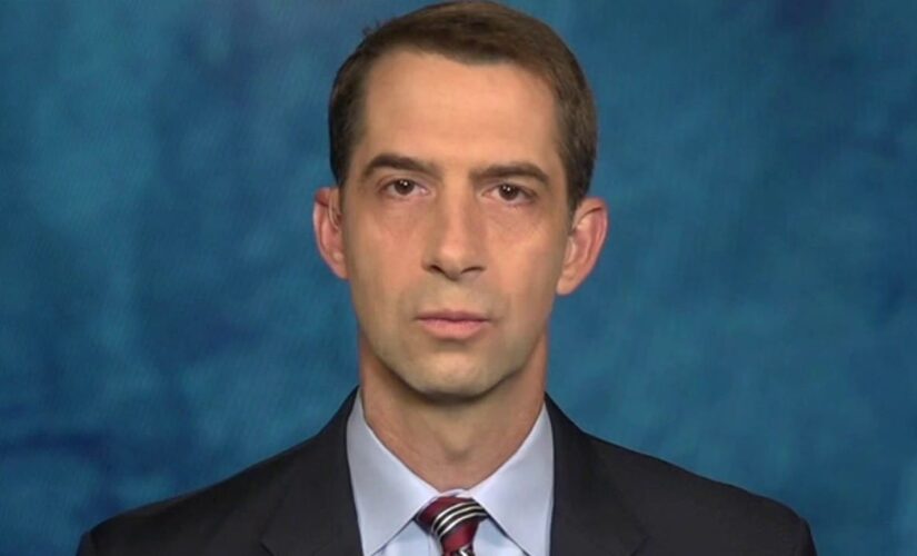 Sen. Cotton suggests 3 measures Biden can take to fix border crisis