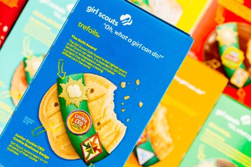 Girl Scout breaks cookie-selling record with more than 30,000 boxes sold