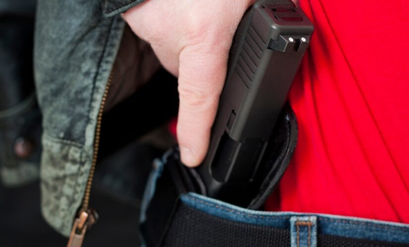 Virginia city bans guns on municipal property, including major gun show venue