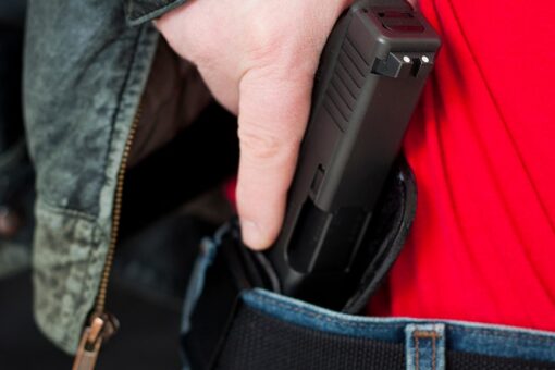 Virginia city bans guns on municipal property, including major gun show venue
