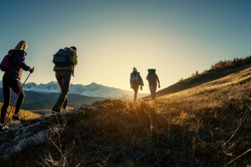 REI cancels international trips, will focus on US adventures