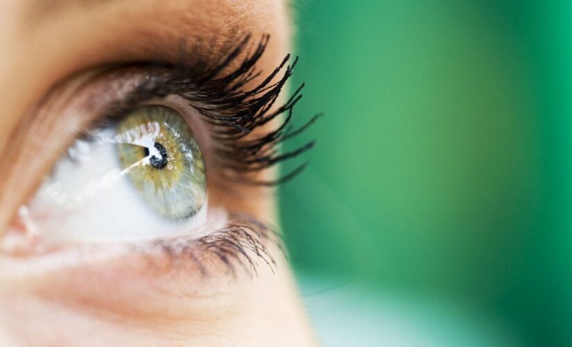 Researchers identify 50 additional genes for eye color