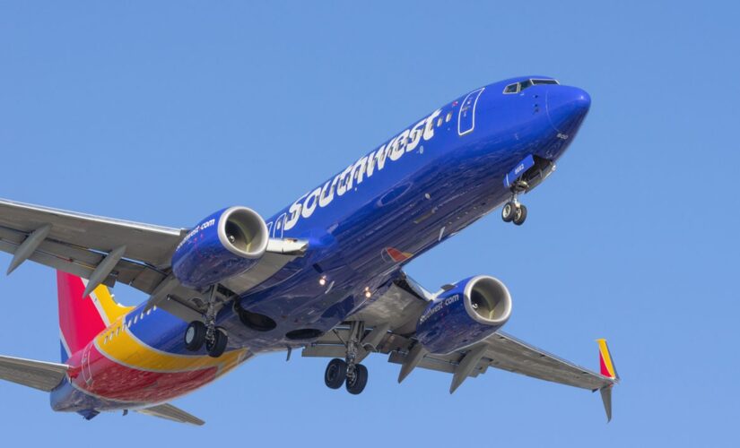 Southwest Airlines employee returns toy after child left it on plane