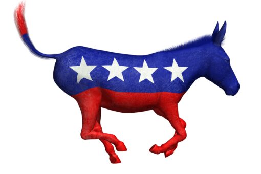 Nevada Democratic Party staff quits after Democratic socialists sweep party leadership positions: report