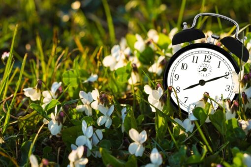 Sens. Lankford & Rubio: Daylight Saving Time should be permanent. Spring ahead and lock the clock, America