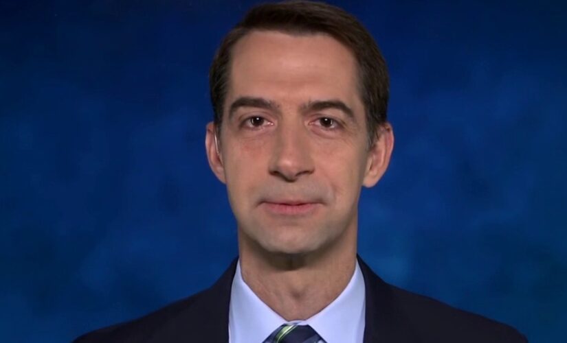 ‘This is the Biden border crisis’: Tom Cotton slams ‘amoral’ policies from new administration