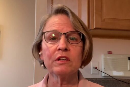 Iowa GOP rep blasts Democrat’s election challenge: ‘They want to go against the laws of our state’