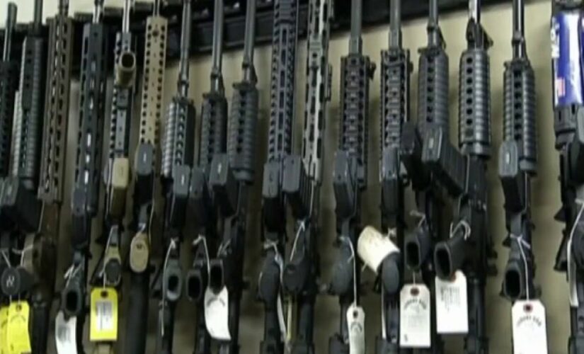 Is compromise possible? Republicans have gun control proposals too