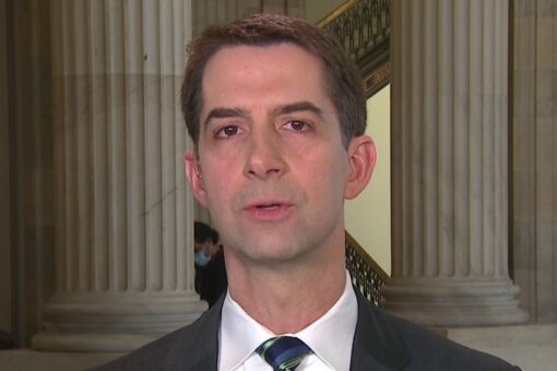 Tom Cotton slams top Biden Pentagon nominee for ‘vicious’ tweets, ‘weak’ Israel, Iran policies