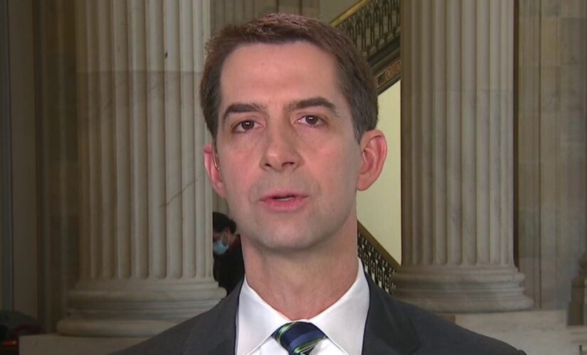 Tom Cotton slams top Biden Pentagon nominee for ‘vicious’ tweets, ‘weak’ Israel, Iran policies