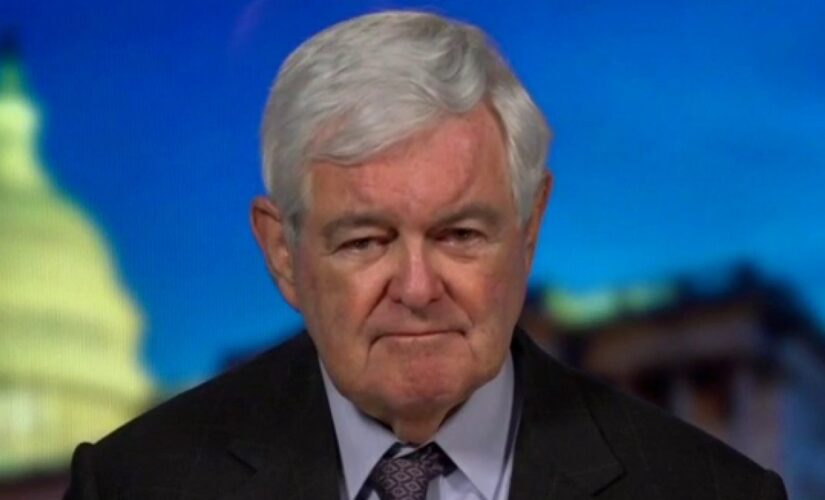 Gingrich claims Democrats have ‘given up keeping House’ in 2022, are ‘ramming through everything they can’