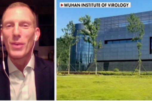 WHO adviser calls for ‘full and credible investigation’ of whether COVID originated in Wuhan lab