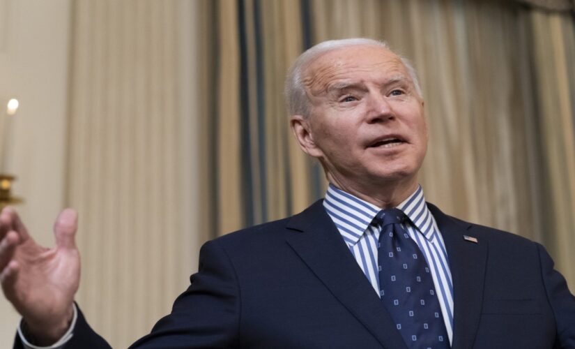 David Bossie: Biden’s border crisis – here’s what it should mean for his ‘immigration reform’ plans