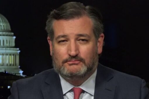 Sen. Ted Cruz tells Hannity taking away guns from law-abiding citizens makes victims vulnerable