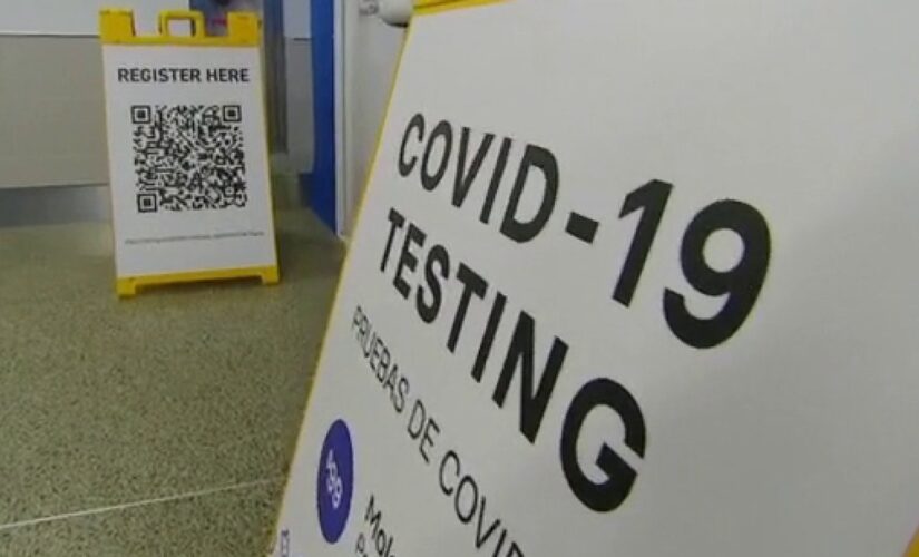 WHO’s inquiry into COVID-19 outbreak ‘highly chaperoned,’ says ex-NSC official
