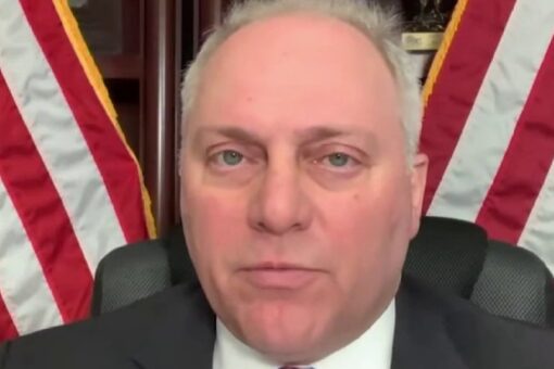 Scalise blasts Big Tech, social media execs over censorship: ‘These aren’t mistakes’
