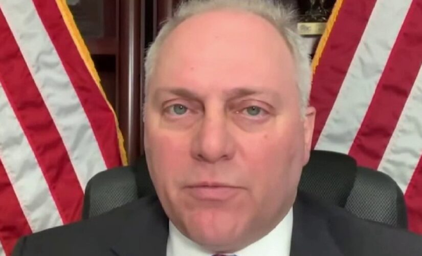 Scalise blasts Big Tech, social media execs over censorship: ‘These aren’t mistakes’