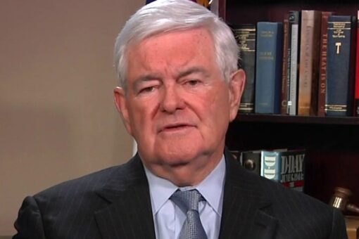 Newt Gingrich: Democrats live in a ‘fantasy’ world