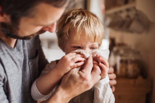 Pollen could increase coronavirus infection susceptibility, study suggests