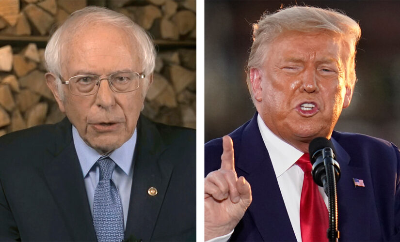 Bernie Sanders admits ‘I don’t feel comfortable about’ Trump ban from Twitter