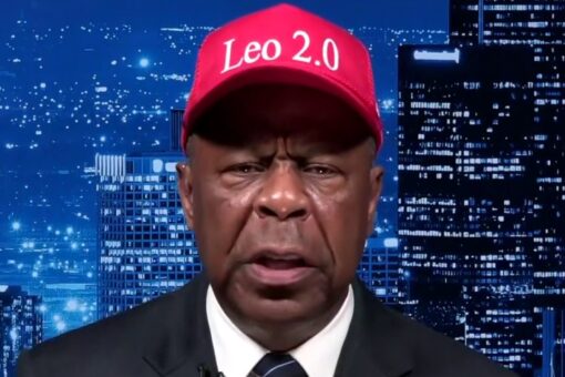 Leo Terrell says Dems want to brand all Trump supporters as racists: ‘Do I look like a White supremacist?’