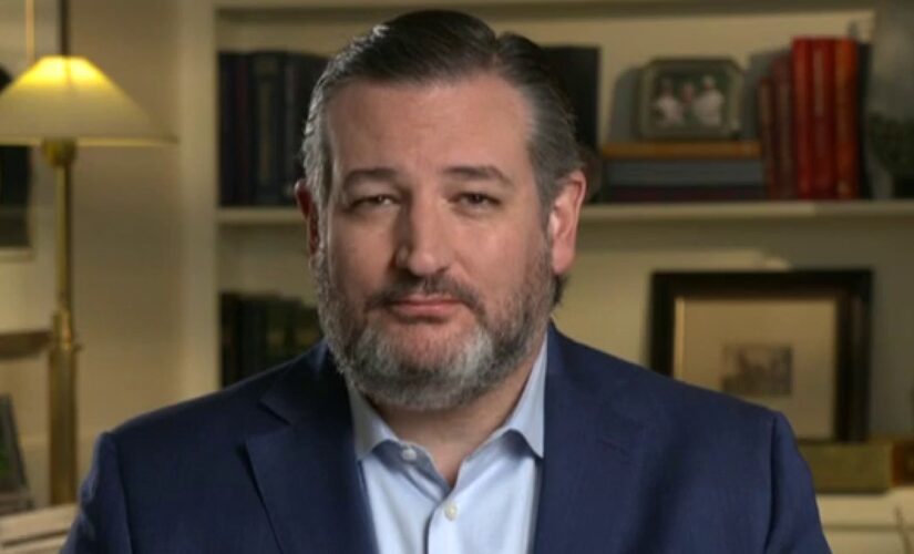 Cruz demands Biden allow media access to border facilities, after seeing ‘inhumane’ conditions