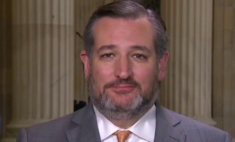 Sen. Ted Cruz: The border crisis is a ‘direct result’ of Joe Biden’s political decisions