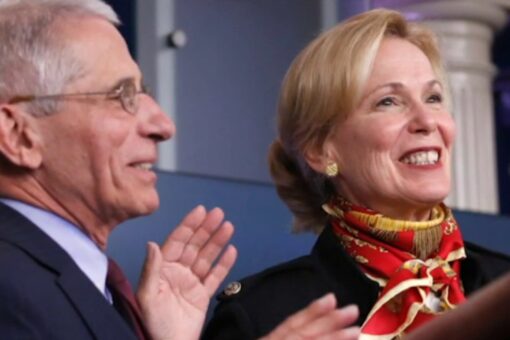 Dr. Scott Atlas blasts ‘despicable’ Birx and Fauci ‘trying to overtly rewrite history’ on coronavirus, Trump