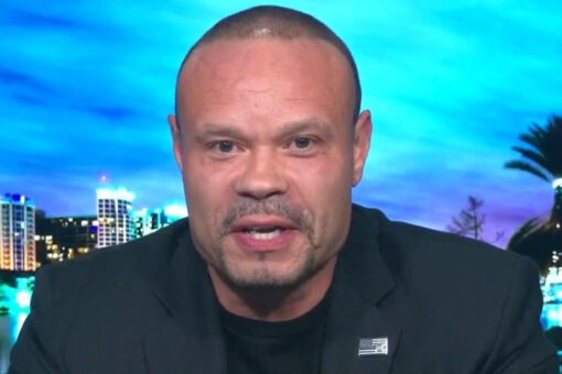 Dan Bongino slams Biden admin on migrant facilities: ‘Why are you treating people like animals?’