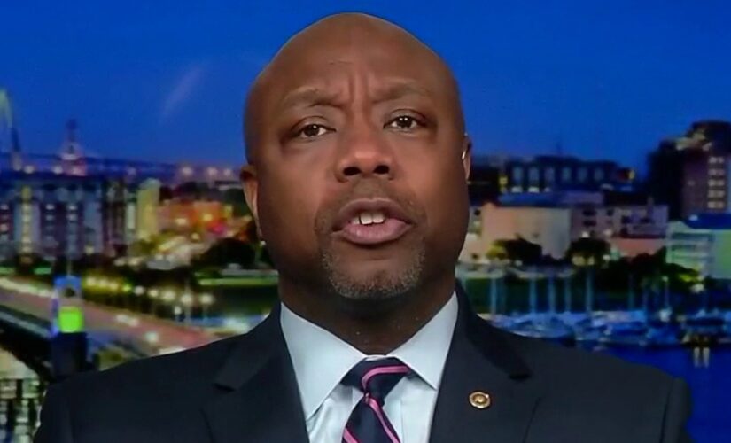 Tim Scott responds to MSNBC’s Joy Reid: ‘Woke supremacy is as bad as white supremacy’