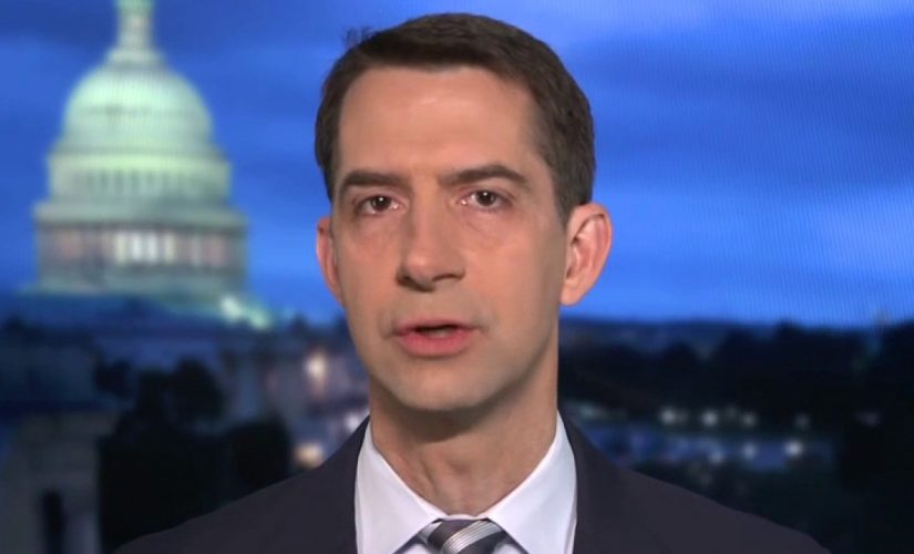 Tom Cotton rips $1.9T stimulus package: It’s the ‘swamp’ looking after itself