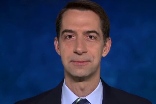 ‘This is the Biden border crisis’: Tom Cotton slams ‘amoral’ policies from new administration