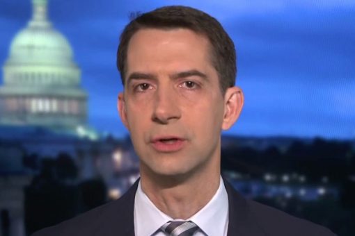 Tom Cotton rips $1.9T stimulus package: It’s the ‘swamp’ looking after itself