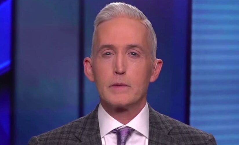 Trey Gowdy blasts MSNBC’s Joy Reid for disparaging Tim Scott as giving Republicans ‘patina of diversity’