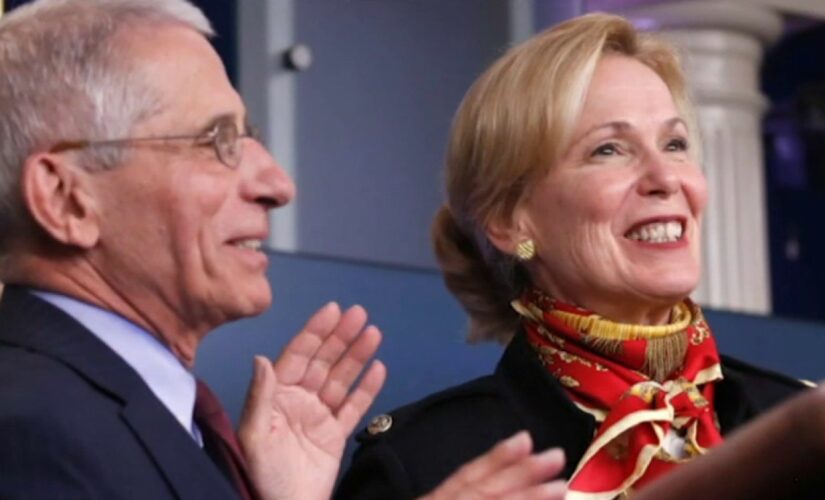 Dr. Scott Atlas blasts ‘despicable’ Birx and Fauci ‘trying to overtly rewrite history’ on coronavirus, Trump