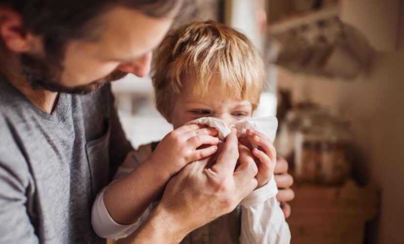 Pollen could increase coronavirus infection susceptibility, study suggests