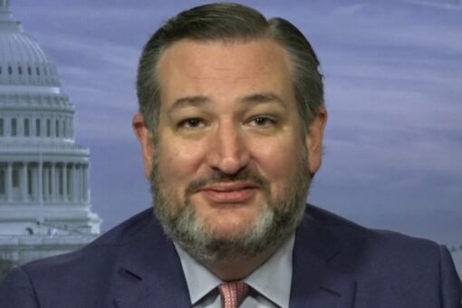 Ted Cruz: Kamala Harris has left herself ‘only one option’ to handle border ‘mess’