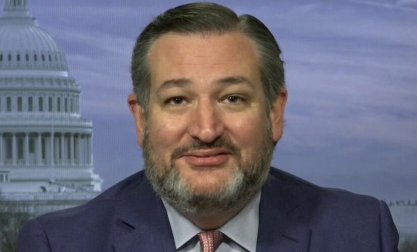 Ted Cruz: Kamala Harris has left herself ‘only one option’ to handle border ‘mess’
