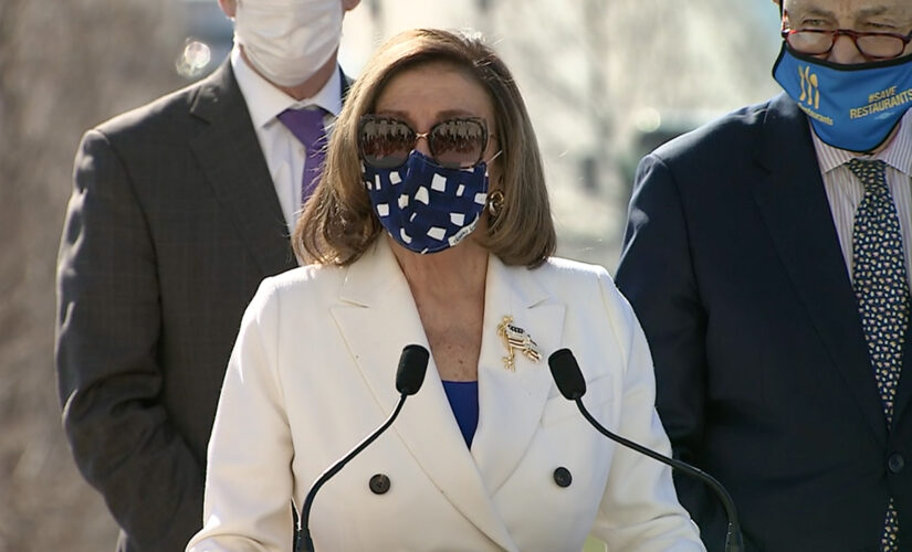 Newt Gingrich: Pelosi, Schumer and the Democratic Machine vs. The People of Arizona