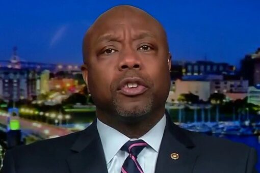 Tim Scott responds to MSNBC’s Joy Reid: ‘Woke supremacy is as bad as white supremacy’