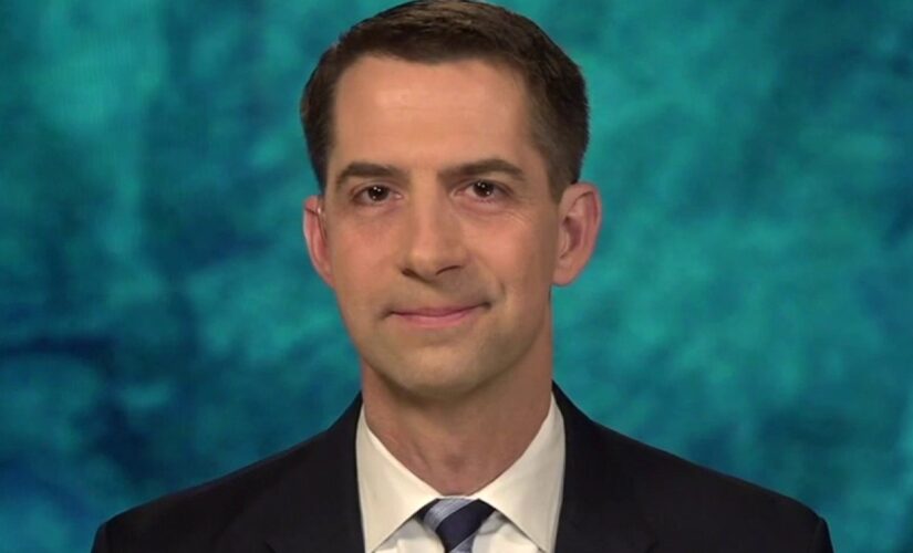 Cotton on ‘Biden border crisis’: ‘This was altogether predictable’ and was ‘predicted’ last year