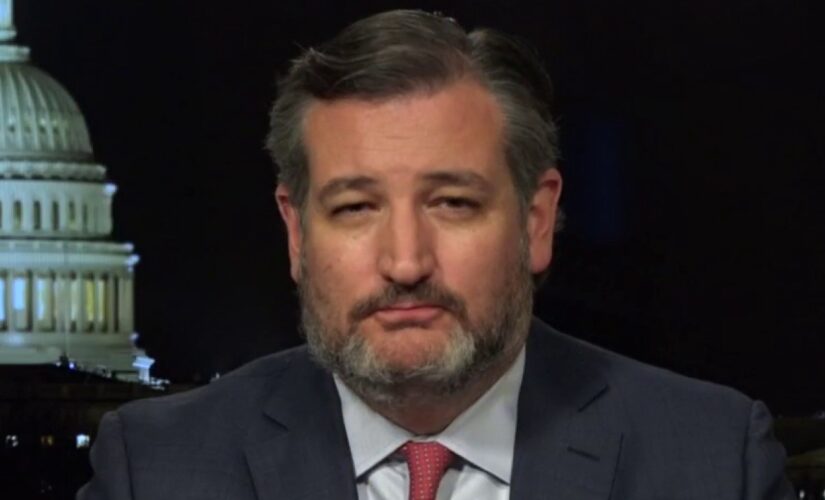 Sen. Ted Cruz tells Hannity taking away guns from law-abiding citizens makes victims vulnerable